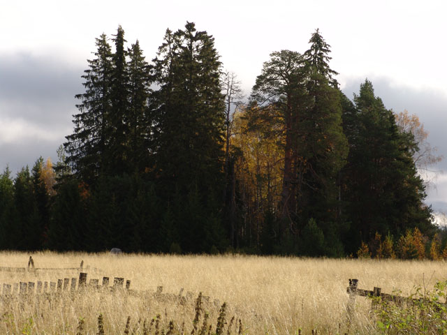kuvat_kalmisto