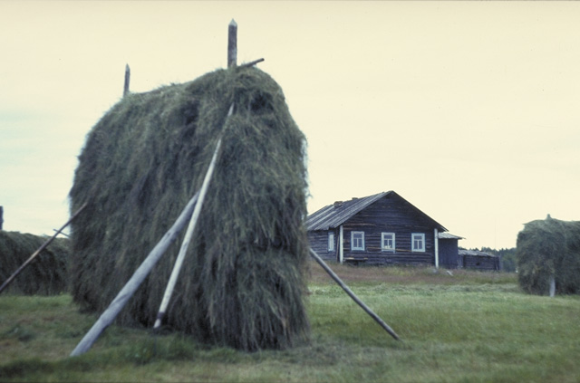 kuvat_ortjontalo